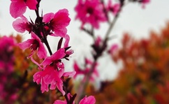 小雪的L3又嫩又紧又多水图